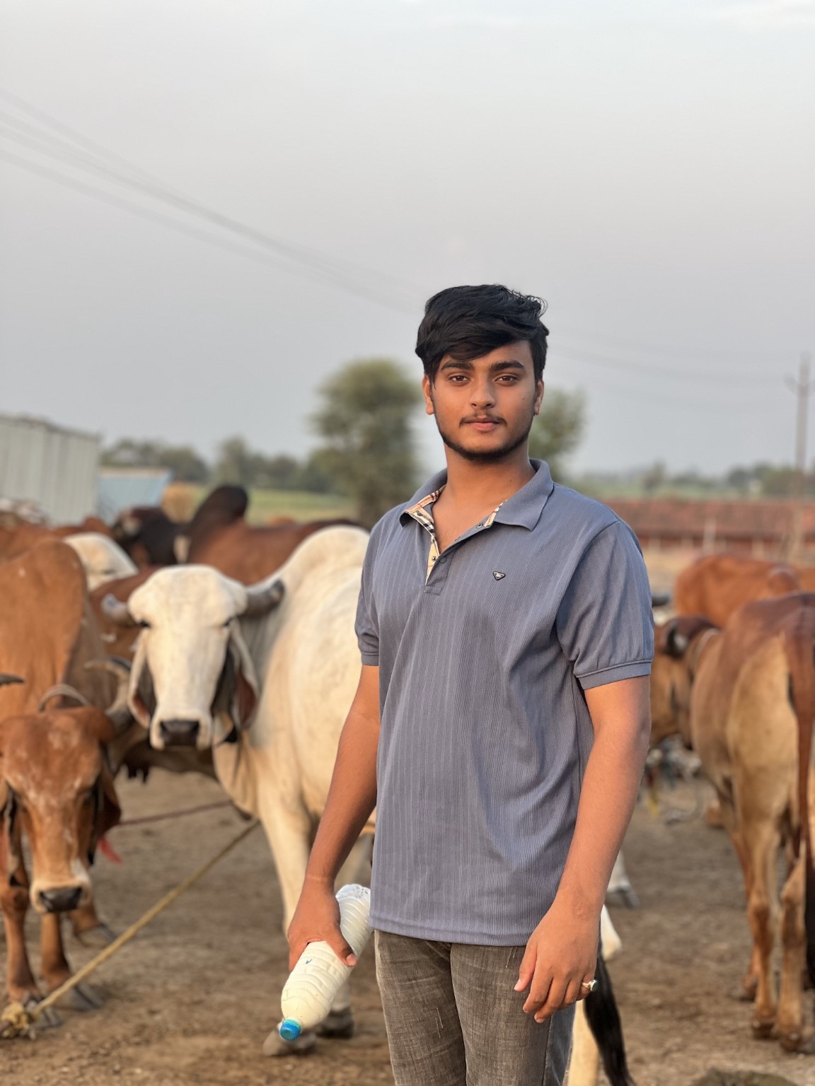 Luxemoo founder at the farm